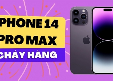 iPhone 14 Pro Max sẽ bán chạy nhất năm nay, đặt biệt là phiên bản màu tím bởi vì...
