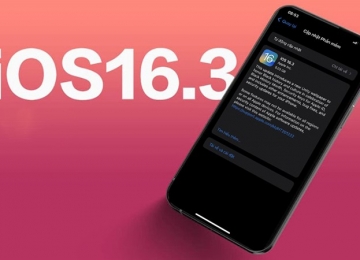 Cách cập nhật iOS 16.3 với nhiều tính năng mới cùng sửa các lỗi còn tồn đọng