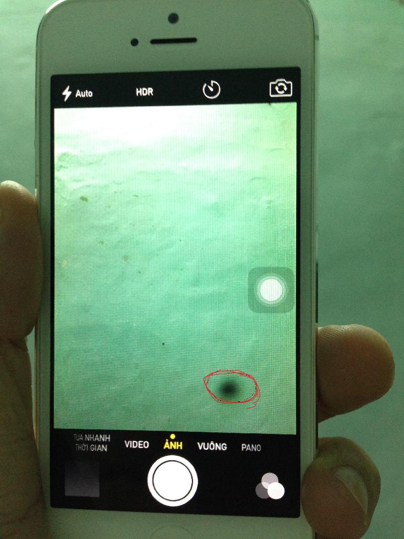 Hướng dẫn khắc phục iPhone chụp ảnh zoom từ xa bị bể hình